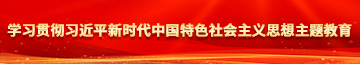 黑人大鸡八免费观看学习贯彻习近平新时代中国特色社会主义思想主题教育